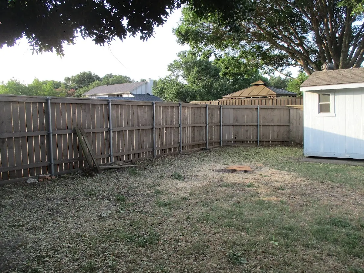 Cleared yard after professional tree removal in Felts Mills