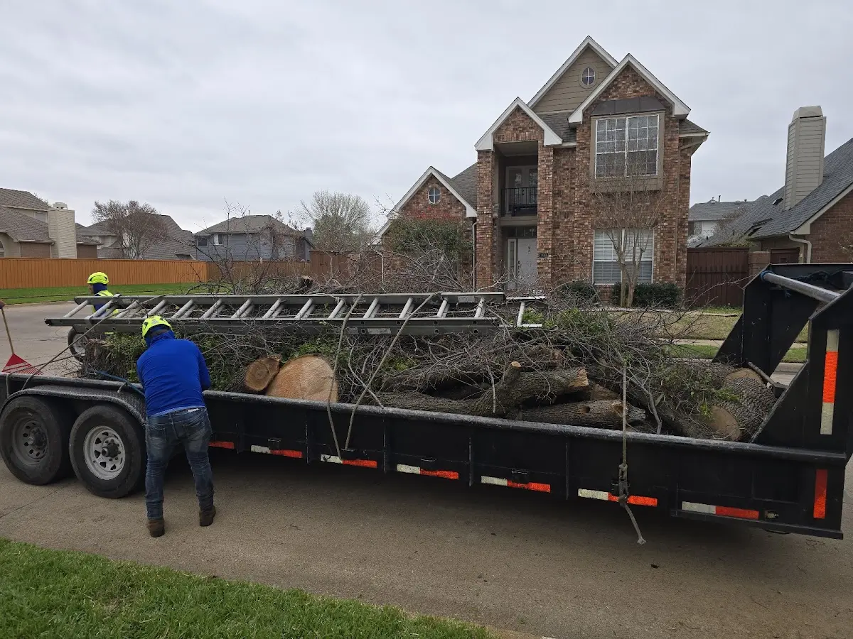 Expert Tree Fertilization with proper safety equipment in Felts Mills